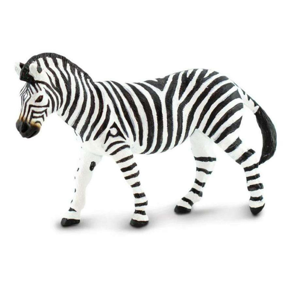 Safari  Plains Zebra  Κοινή Ζέβρα