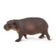Safari Pygmy Hippo Πυγμαίος Ιπποπόταμος