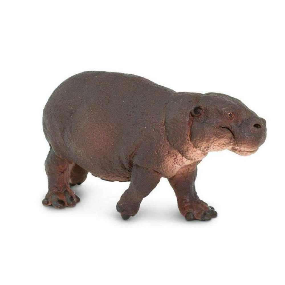 Safari Pygmy Hippo Πυγμαίος Ιπποπόταμος