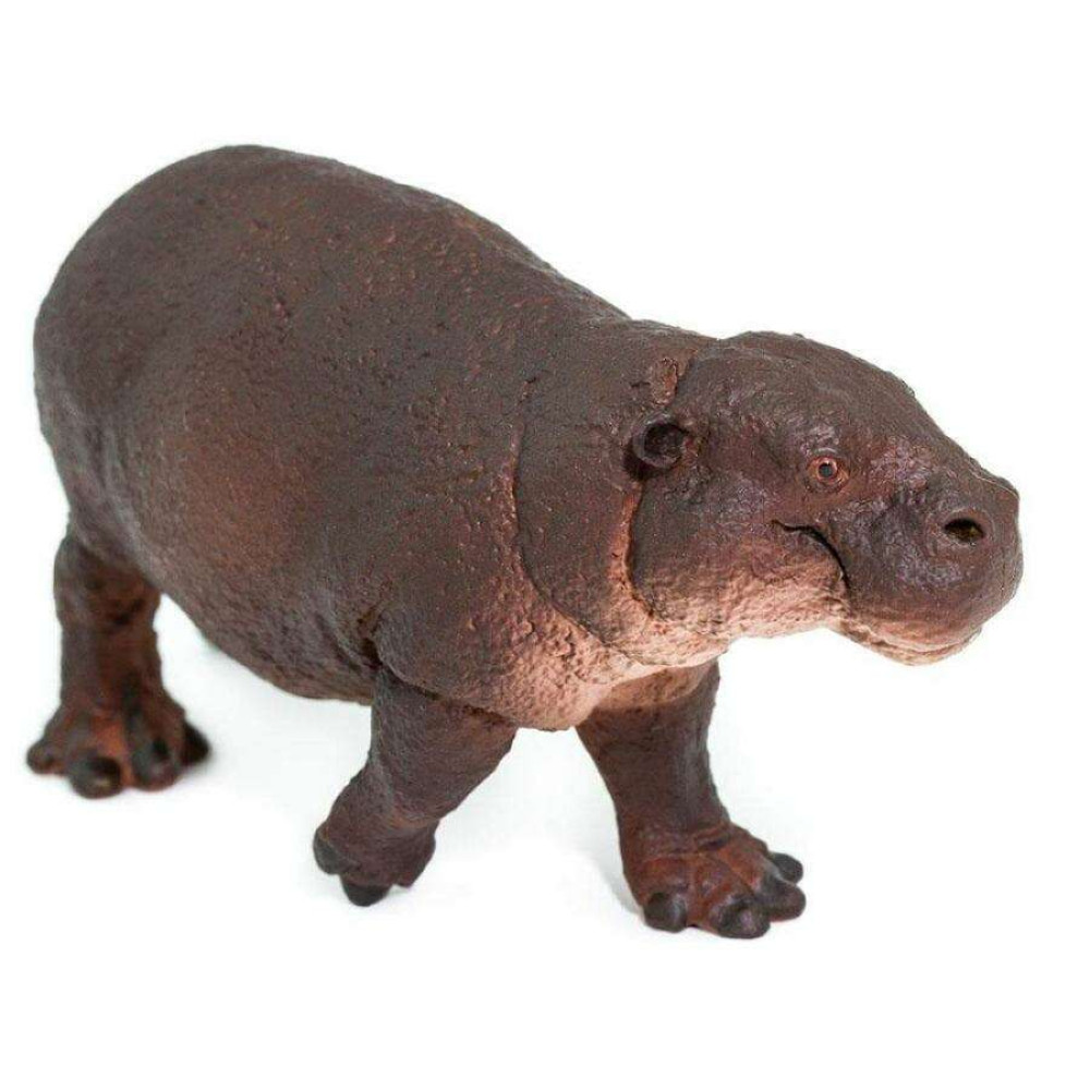 Safari Pygmy Hippo Πυγμαίος Ιπποπόταμος