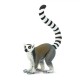 Safari Ring-tailed Lemur Λεμούριος με Δακτυλιδωτή Ουρά