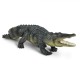 Safari Saltwater Crocodile Κροκόδειλος της Θάλασσας