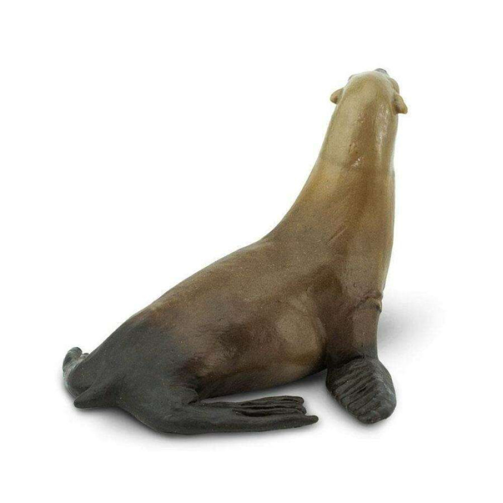 Safari Sea Lion Θαλάσσιος Λέοντας