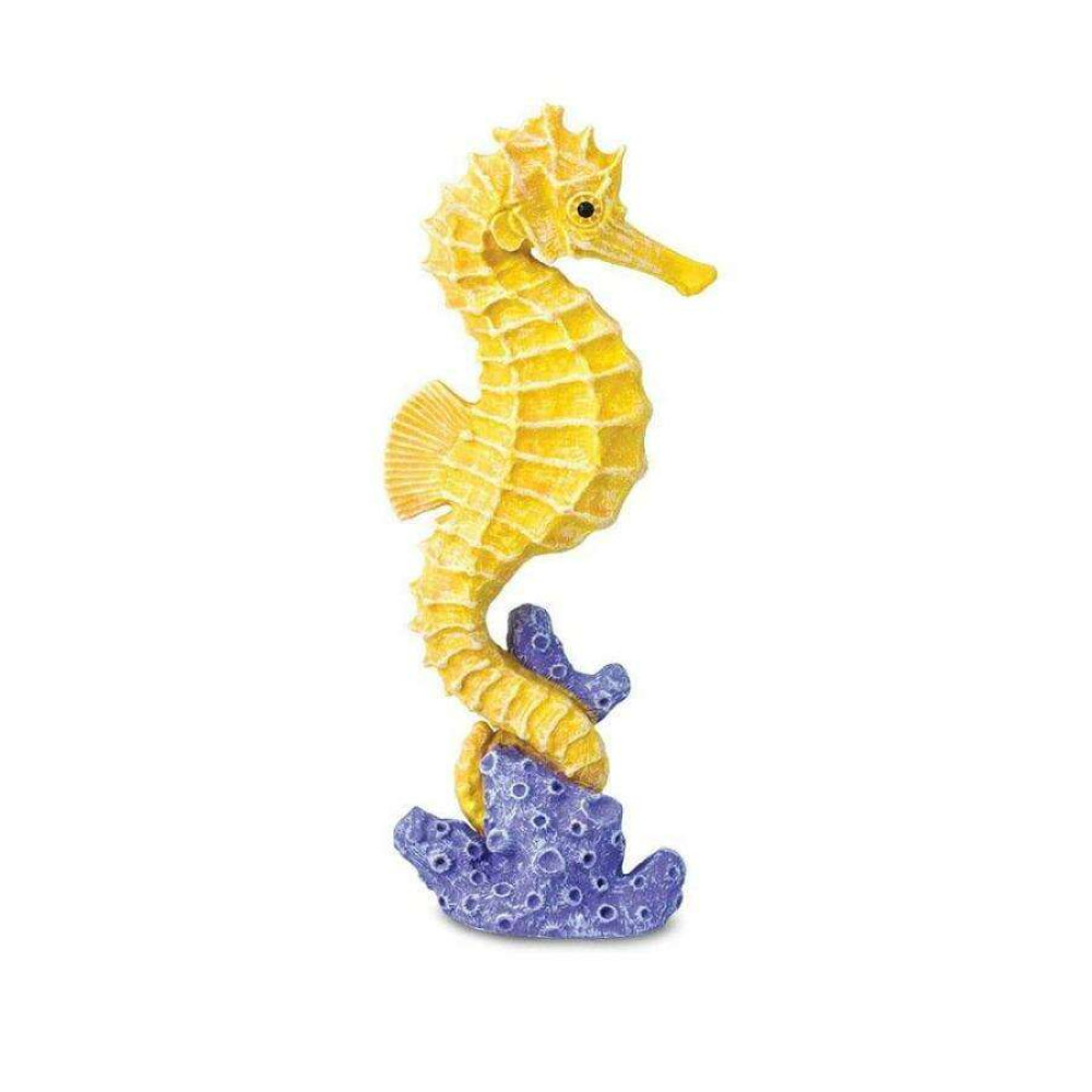 Safari Seahorse Ιππόκαμπος