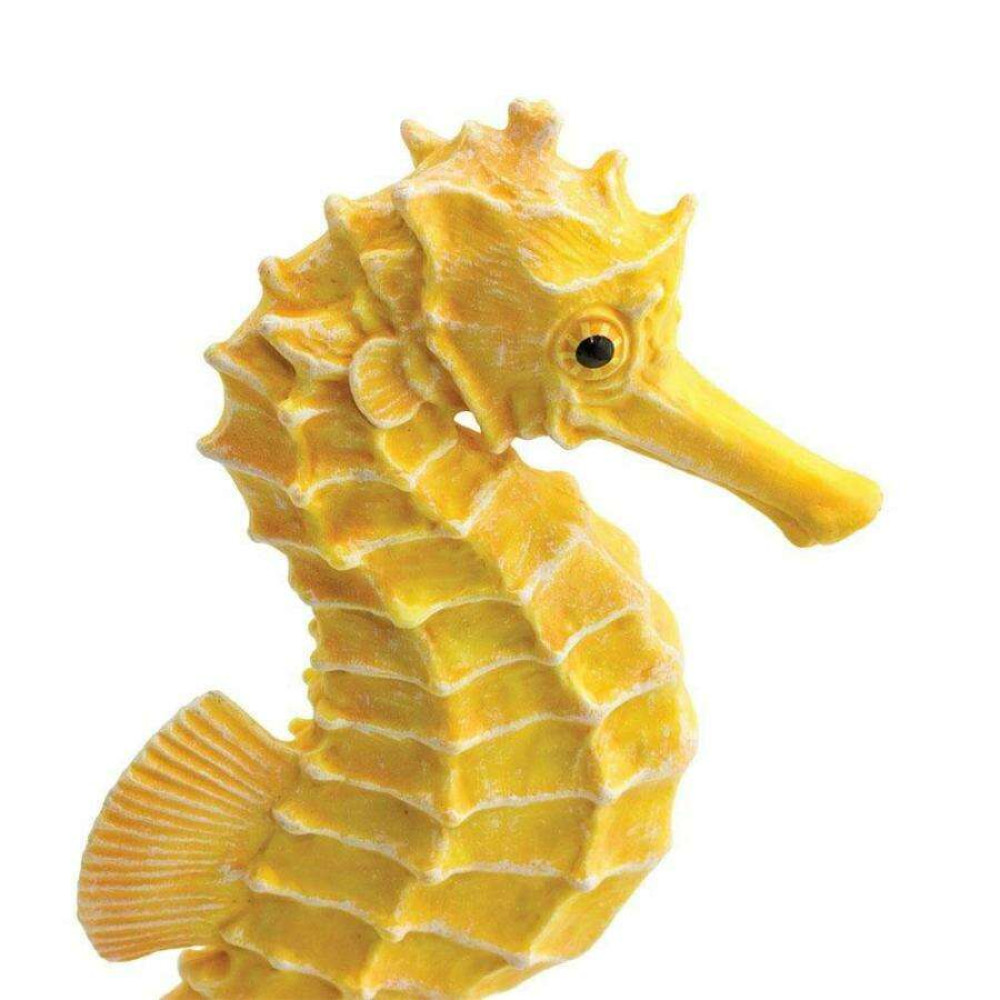 Safari Seahorse Ιππόκαμπος