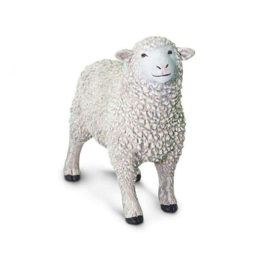 Safari Sheep Πρόβατο