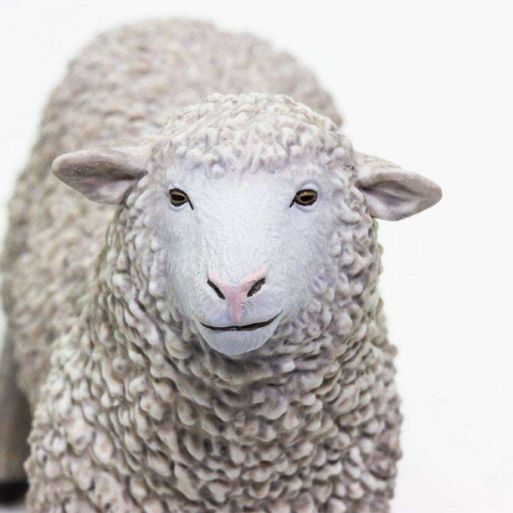 Safari Sheep Πρόβατο