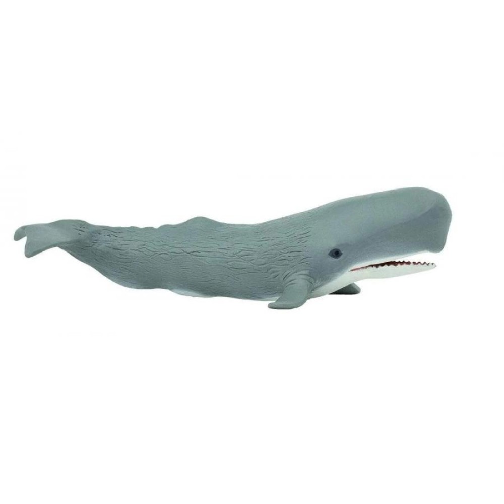 Safari Sperm Whale  Φάλαινα Φυσητήρας