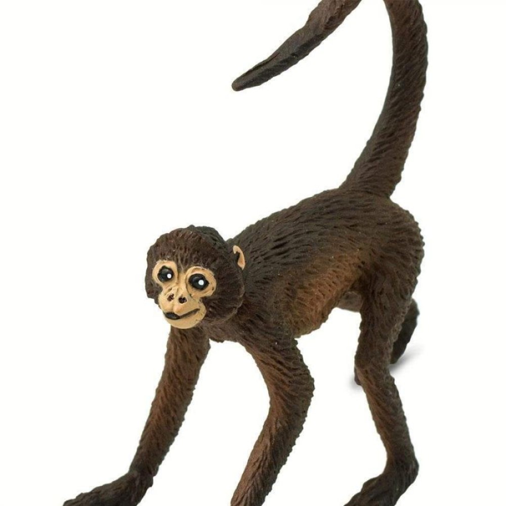Safari Spider Monkey Ατελή Μαϊμού Αράχνη