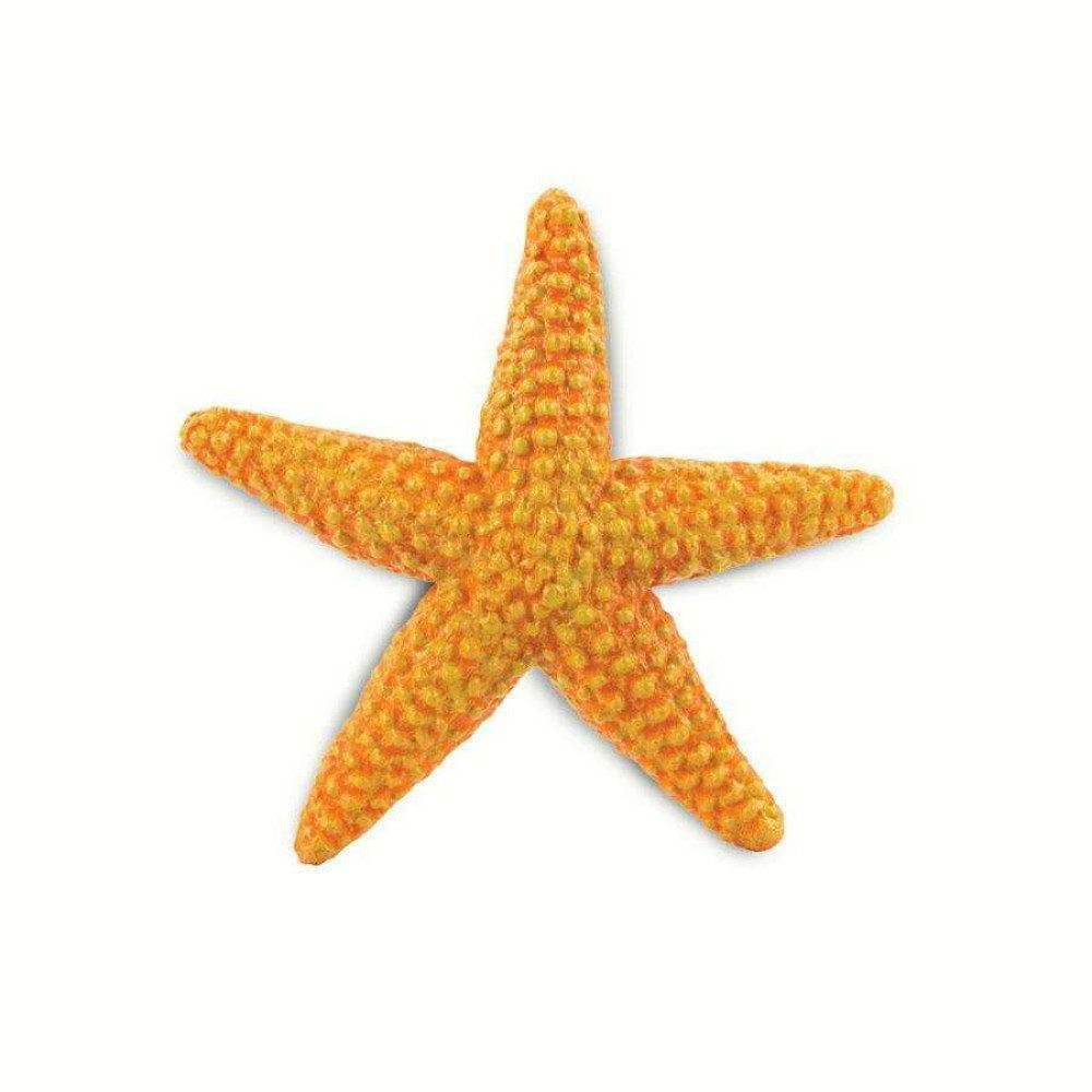 Safari Starfish Αστερίας