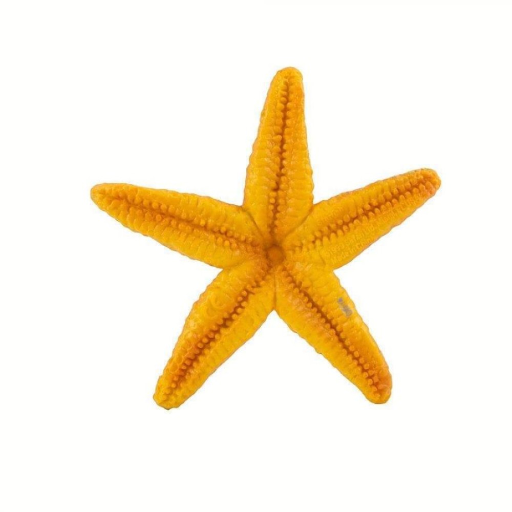 Safari Starfish Αστερίας