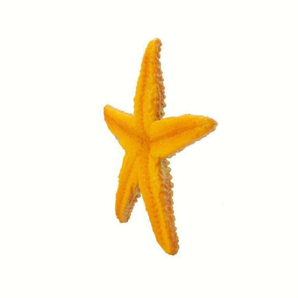 Safari Starfish Αστερίας