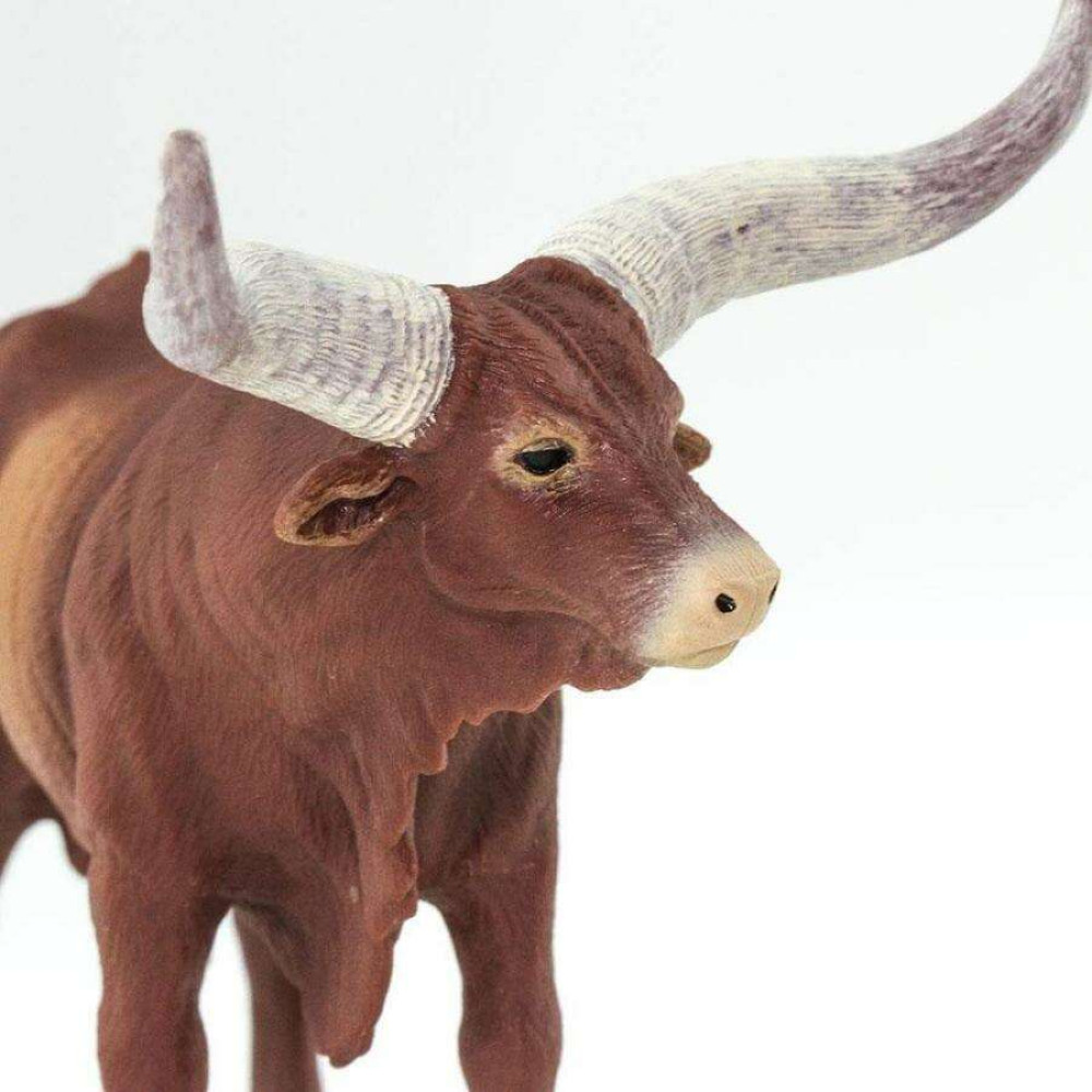 Safari Watusi Bull Ταύρος Watusi