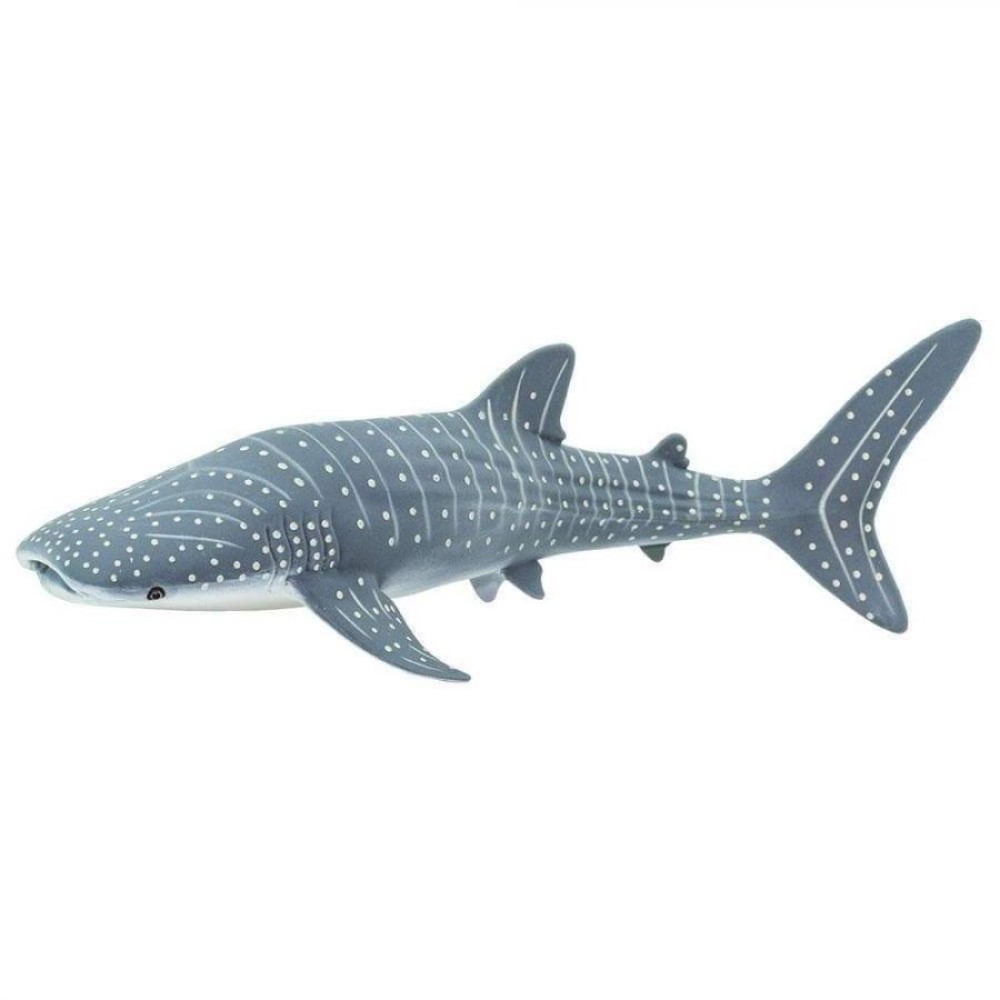 Safari Whale Shark Φαλαινοκαρχαρίας