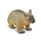 Safari Wombat Φασκωλόμυς