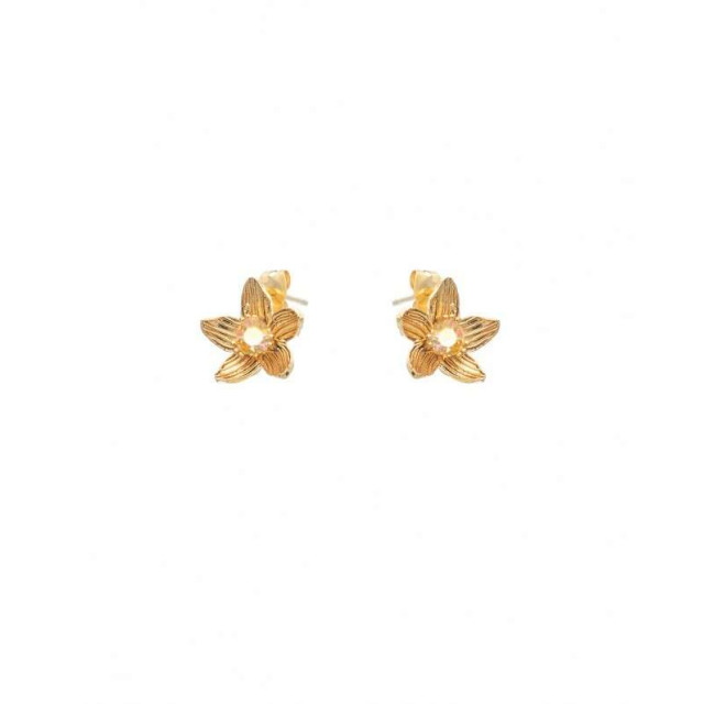 LifeLikes Σκουλαρίκια Birthstone April Καρφωτά