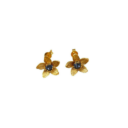 LifeLikes Σκουλαρίκια Birthstone February Καρφωτά