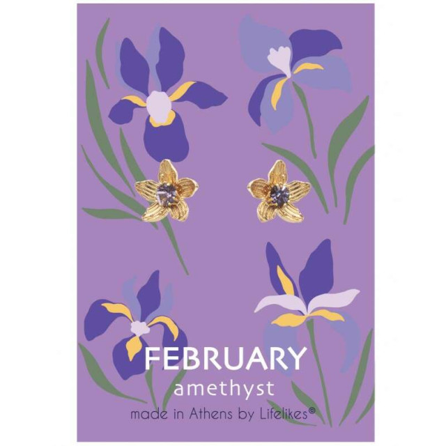 LifeLikes Σκουλαρίκια Birthstone February Καρφωτά