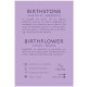 LifeLikes Σκουλαρίκια Birthstone February Καρφωτά