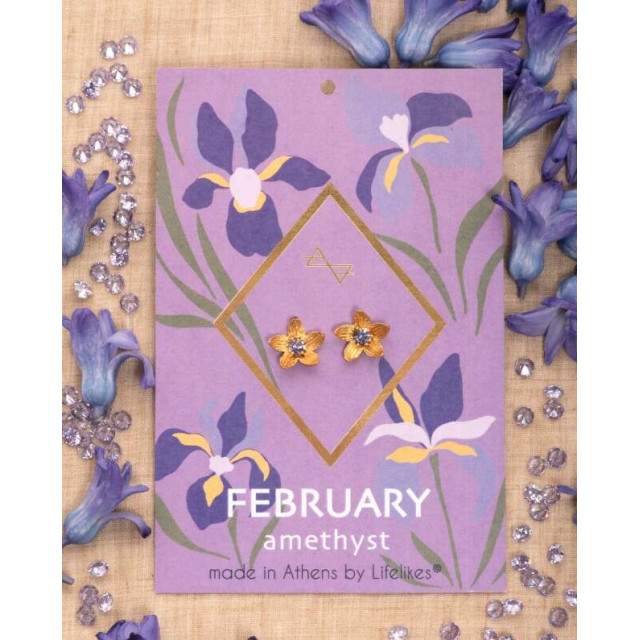 LifeLikes Σκουλαρίκια Birthstone February Καρφωτά