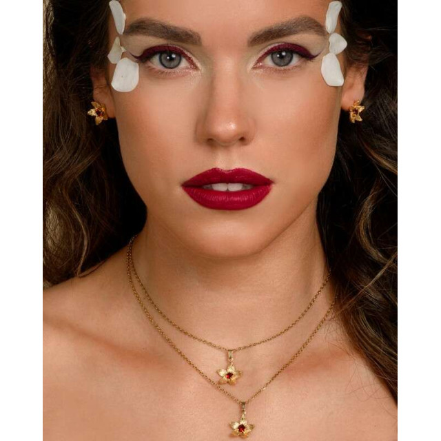 LifeLikes Σκουλαρίκια Birthstone January Καρφωτά