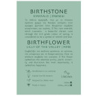 LifeLikes Σκουλαρίκια Birthstone May Καρφωτά