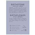 LifeLikes Σκουλαρίκια Birthstone September Καρφωτά