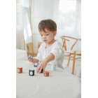 Ταίριαξε τα Ζωάκια της Αρκτικής PlanToys 5484
