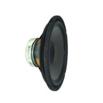 Woofer Polypro Hi-Fi 10" - 8Ω, 200W - SP-W250-PP