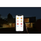 Yeelight Smart Led Filament Dimmable Λάμπα ST64 6W E27 2000k (YLDP23YL)